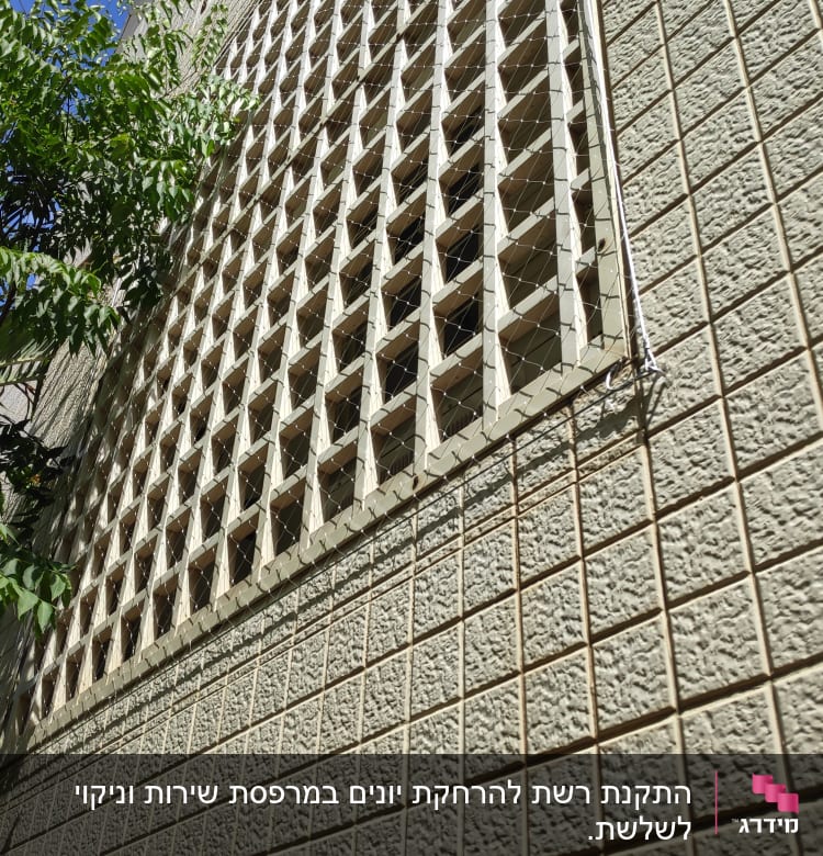 רשת למניעת כניסת יונים על קיר בניין